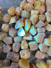 颯望德國蔬菜熒光劑檢測筆紫光燈鑒定紫外線手電驗鈔貓?zhí)\檢測激光 紫光檢測燈【帶激光筆】 曬單實拍圖