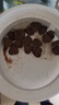 派迪諾（PAIDINUO）寵物狗狗氨糖鯊魚軟骨素醫(yī)護版泰迪金毛關(guān)節(jié)保護健骨營養(yǎng)補充340g 曬單實拍圖