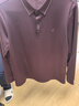 U.S. POLO ASSN.短袖POLO衫男士青年保羅商務休閑翻領男裝上衣T恤短袖男夏季紫3XL 曬單實拍圖
