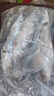 京喜加青魚(yú)東北沙丁魚(yú)去臟野生青魚(yú)新鮮冷凍深海冷水魚(yú)鯡魚(yú)燒烤食材 【包冰10%】8斤去臟青魚(yú)200/300g 曬單實(shí)拍圖