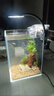 OUOETY金晶超白玻璃魚(yú)缸定做大小型長(cháng)方形酒店家用客廳水草缸烏龜缸定制 15*15*20cm/4mm厚 曬單實(shí)拍圖