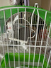 喜帥 鳥籠X103 鸚鵡籠子虎皮牡丹觀賞籠玄鳳文鳥大空間家用養(yǎng)殖鳥籠子 曬單實(shí)拍圖