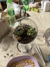 花藝萌多肉植物組合盆栽含盆含土創(chuàng)意diy拼盤花盆肉肉植物室內(nèi)綠植花卉 吊瓶（鴨子） 含盆 曬單實拍圖