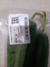 【水果菜】荷蘭水果黃瓜約600g 曬單實(shí)拍圖