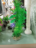 森森魚(yú)缸除藻劑水族箱除綠藻褐藻黑毛絲藻清除去青苔凈除藻綠水去苔劑 水草缸用除藻劑258ML 曬單實(shí)拍圖