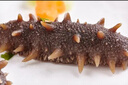 獐子島即食海參大連遼刺參參萌萌冷凍開袋緩化即食非淡干袋裝鮮食海參 即食海參 1500g 3袋33-39頭 曬單實拍圖