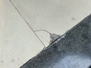 JCZS德國品牌瓷磚破損修補(bǔ)膏修補(bǔ)劑墻面修補(bǔ)膠釉面修復(fù)地磚坑洞裂縫修 瓷磚修補(bǔ)劑陶瓷白【送全套工具及 曬單實(shí)拍圖