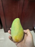 京鮮生 廣西百色金煌芒果 凈重8.5斤裝 單果350g起 生鮮水果源頭直發(fā) 曬單實拍圖