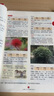 2025新版 繪本課堂年級(jí)閱讀三年級(jí)上冊(cè)下冊(cè)全套人教部編版 語(yǔ)文閱讀理解專項(xiàng)訓(xùn)練教材輔導(dǎo)3年級(jí)數(shù)學(xué)同步練習(xí)冊(cè)拓展課外閱讀書 【上冊(cè) 2本】繪本課堂A版 學(xué)習(xí)書（語(yǔ)文） 曬單實(shí)拍圖