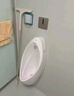 TOTO小便斗酒店/家用小便器UW904SB掛墻式男士成人感應(yīng)衛(wèi)生間尿斗 UW904SB小便斗+手按閥 墻排水 曬單實(shí)拍圖