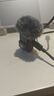 大疆 DJI Mic 2 發(fā)射器（透明黑）專業(yè)音質(zhì)無線麥克風 智能降噪 藍牙直連 無損內(nèi)錄  曬單實拍圖