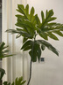 掬涵北歐風(fēng)仿真植物盆景面包樹綠植客廳裝飾擺件電視柜角落擺設(shè)高顏值 高度仿真/外貿(mào)一級 1.8m+花盆+花盆托 曬單實拍圖