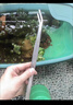 德東鑷子不銹鋼加長圓頭小工具夾子醫(yī)用園藝手工魚缸大 加厚加長31cm 曬單實(shí)拍圖