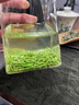 茶葉胖東來(lái)超市茶葉龍井茶葉2025新貨雨前綠茶濃香型口糧春茶自己 信陽(yáng)毛尖 250g 京官方店?yáng)|自旗艦營(yíng) 曬單實(shí)拍圖