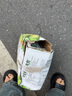 新希望牛角包可可草莓椰椰牛油果蜜瓜阿華田茉莉雪芽牛奶200g/袋調制乳 牛油果蜜瓜牛奶200g*12袋 曬單實(shí)拍圖