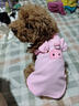 鉑吶苓貓咪狗狗寵物衣服小型犬夏薄款可牽引泰迪加菲布偶英短衣服兩腳款 寵物衣服【可牽引-粉】 M碼 曬單實(shí)拍圖