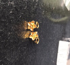 周六福黃金耳釘女足金999花卉耳飾耳針 計價(jià) 2.32g 曬單實(shí)拍圖