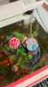 異景園魚(yú)缸造景懸浮石漂浮擺件仿真裝飾浮石生態(tài)布景假山造景石躲避洞屋   自浮島大號（無(wú)需綁線(xiàn)） 無(wú)規格 曬單實(shí)拍圖