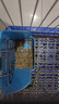 花卷寶寶兔糧飼料5斤荷蘭豬幼兔糧垂耳兔糧食成兔寵物通用抗球蟲(chóng)兔子食物 5斤 曬單實(shí)拍圖