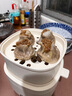 九陽（Joyoung）煮蛋器 蒸蛋器 溫泉蛋機(jī) 智能定時(shí)自動斷電 煮雞蛋神器溏心蛋茶葉蛋 小型蒸鍋早餐一體機(jī)GE361 曬單實(shí)拍圖
