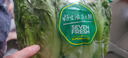 【高原夏菜】鐘靈山羅馬生菜400g 曬單實拍圖