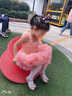 G.DUCKKIDS童裝tutu裙女童連衣裙夏季吊帶裙兒童公主裙子甜美風(fēng)生日蓬蓬紗裙 粉紅色 100 尺碼2~3歲【 90-100cm】 曬單實(shí)拍圖