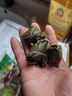 50個(gè)迷你粽子一口粽小粽子水晶白粽子糯米早餐點(diǎn)心 曬單實(shí)拍圖