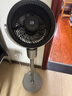 夏普空氣循環(huán)扇電風(fēng)扇家用驅(qū)蚊直流變頻新款電扇大風(fēng)力渦輪暴風(fēng)落地扇對流凈化除菌循環(huán)風(fēng)扇遙控3D搖頭 CD420A-C【升級款】語音+離子群+濾網(wǎng)凈化 曬單實(shí)拍圖