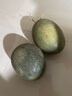 京鮮生 新疆哈密瓜 單果2.3斤起 凈重8-9斤 2-4粒裝 源頭直發(fā)包郵 曬單實(shí)拍圖