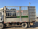 中祥運尾板垃圾車自動升降電動四輪垃圾桶轉(zhuǎn)運車物業(yè)小區(qū)景區(qū)垃圾收集清運車小型保潔車環(huán)衛(wèi)清潔車 垃圾桶 曬單實拍圖