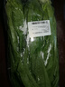 【高原夏菜】云南高原油麥菜500g 曬單實拍圖