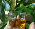 咪曦耐熱玻璃品茗杯6個(gè)木柄帶把功夫茶具茶杯套裝泡茶杯 曬單實(shí)拍圖