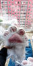 獸裝全套 成品kig獸頭獸爪兒童7到12歲穿戴現(xiàn)貨二次元無飾品玩具 白色貓爪一對(嘰嘰叫) 曬單實拍圖