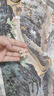 御貢坊萬里長城1000片木質(zhì)拼圖成人diy創(chuàng)意女孩生日禮物兒童玩具 曬單實拍圖
