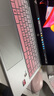 惠普（HP）星BOOK14  惠普筆記本AMD銳龍輕薄本 商務辦公游戲?qū)W習網(wǎng)課設計學生本筆記本電腦 元氣桃桃 【25年新品】R5 16G內(nèi)存 512G固態(tài)硬盤 曬單實拍圖