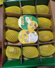 佳沛（zespri）新西蘭  陽(yáng)光金奇異果25-27粒原箱特大果單果約122-146g  獼猴桃 曬單實(shí)拍圖