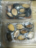 時(shí)寐東山島九孔大鮑魚(yú)深海海鮮東山島直發(fā)火鍋燒烤海鮮水產(chǎn)中秋禮品 8頭/500克 曬單實(shí)拍圖