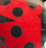 惠妮寶貝 毛絨玩具昆蟲(chóng)玩偶抱枕七星瓢蟲(chóng)布偶娃娃睡覺(jué)抱枕生日禮物 紅色 瓢蟲(chóng) 40厘米 曬單實(shí)拍圖