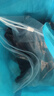 諾帝卡（NAUTICA）【買一贈一】男裝25春夏新款滌彈雙面布速干清爽圓領(lǐng)短袖T恤男 黑色0TB 2XL 曬單實拍圖