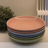 琺寶（staub）馬卡龍色系陶瓷加厚盤菜盤餐盤 陶瓷深盤22cm6件套 1029960 曬單實(shí)拍圖