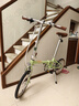大行（DAHON）D5折疊自行車16英寸5速復古男女式城市戶外休閑便攜自行車HAC653 抹茶綠 曬單實拍圖