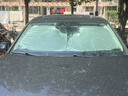 福澤星25款邁騰遮陽板b9專用汽車前擋風(fēng)玻璃防曬隔熱380遮光擋330適用于 炫彩鐳射款 邁騰 曬單實(shí)拍圖