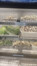 格菱三溫五階梯展示柜冰箱燒烤串串涼菜大容量商用菜品展示柜冷藏保鮮柜三控六階梯酒飯店點(diǎn)菜柜可定制 2.0米三溫六階梯【燈箱款*可免費(fèi)定制燈箱】 曬單實(shí)拍圖