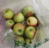 2025頭茬現(xiàn)摘嘎啦青蘋果美八脆甜爽口冰糖心蘋果丑蘋果整箱猴哥 帶箱5斤（果經(jīng)65mm+） 曬單實拍圖
