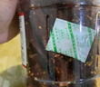 光合力量 風(fēng)干雞肉干500g雞胸肉條干減低解饞脂零食休閑耐吃零食品 香辣味 曬單實(shí)拍圖