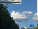 魅族（MEIZU）PANDAER 白金獨(dú)角獸 妙磁抗菌手機(jī)殼 白金獨(dú)角獸 適用iPhone 16 Pro IML印刷 全包結(jié)構(gòu) Click按鍵 曬單實(shí)拍圖