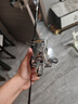禧瑪諾（SHIMANO）進(jìn)口sedona塞多納路亞紡車(chē)輪泛用淡海水磯釣海釣輪遠(yuǎn)投漁輪魚(yú)線輪 國(guó)行23款 2500S【5.0速】 曬單實(shí)拍圖