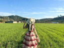 田園風(fēng)lolita櫻桃熟了甜心販?zhǔn)蹤C(jī)印花輕lo裙可愛甜心日常分體裙 櫻桃熟了+bnt帽子 M 【建議95~110斤】 曬單實(shí)拍圖