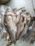 微山湖野生鯽魚土漁民捕撈活魚現(xiàn)殺凈膛滋補(bǔ)燉湯400g/袋 中號(hào)【4-6條/400g】400g*5袋 曬單實(shí)拍圖