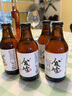 廢墟 精釀雙料皮爾森/世濤黑啤 296ml 多種規格 國產(chǎn)精釀 雙料皮爾森 296mL 24瓶 曬單實(shí)拍圖